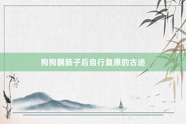 狗狗翻肠子后自行复原的古迹