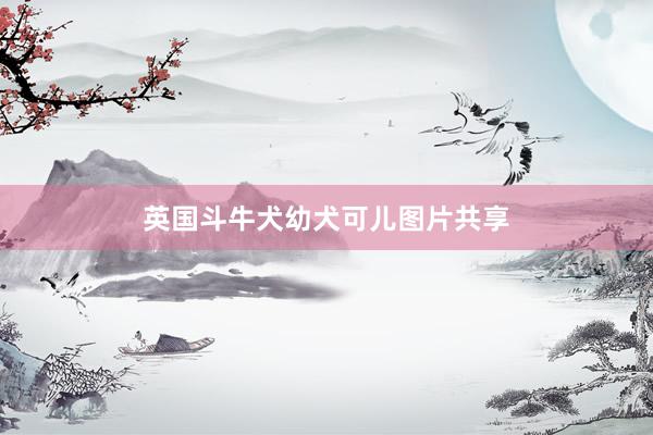 英国斗牛犬幼犬可儿图片共享