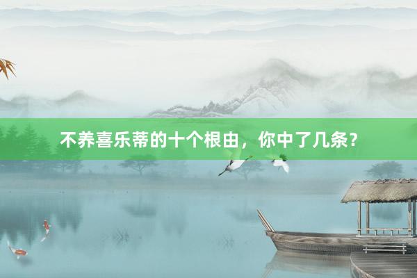 不养喜乐蒂的十个根由，你中了几条？