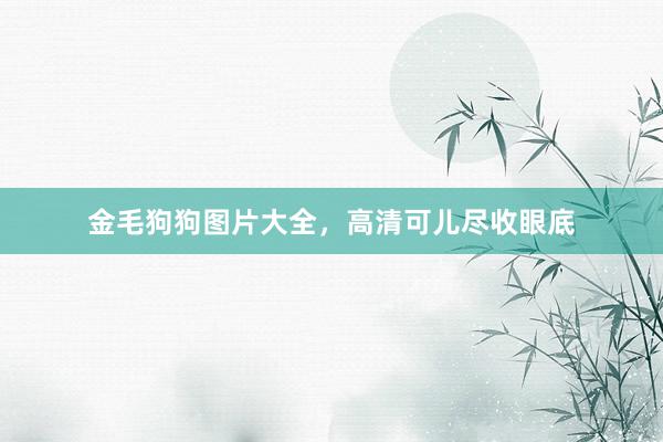 金毛狗狗图片大全，高清可儿尽收眼底