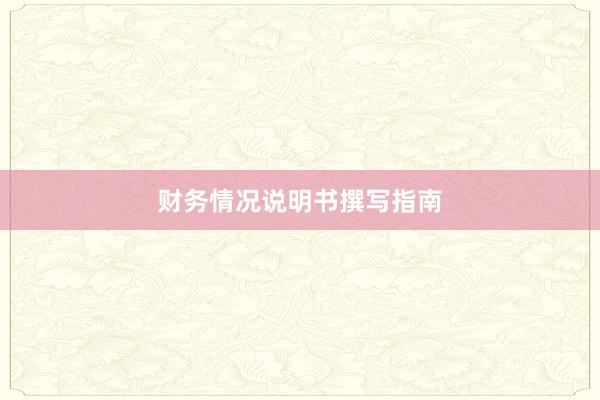 财务情况说明书撰写指南